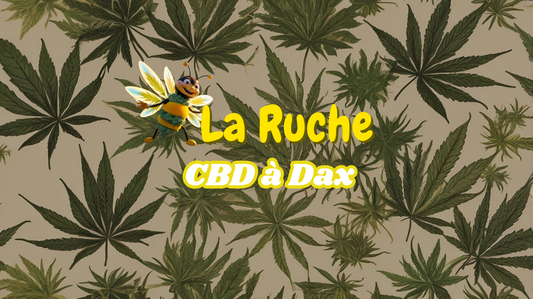 Achetez du CBD à Dax : Livraison rapide et produits de qualité